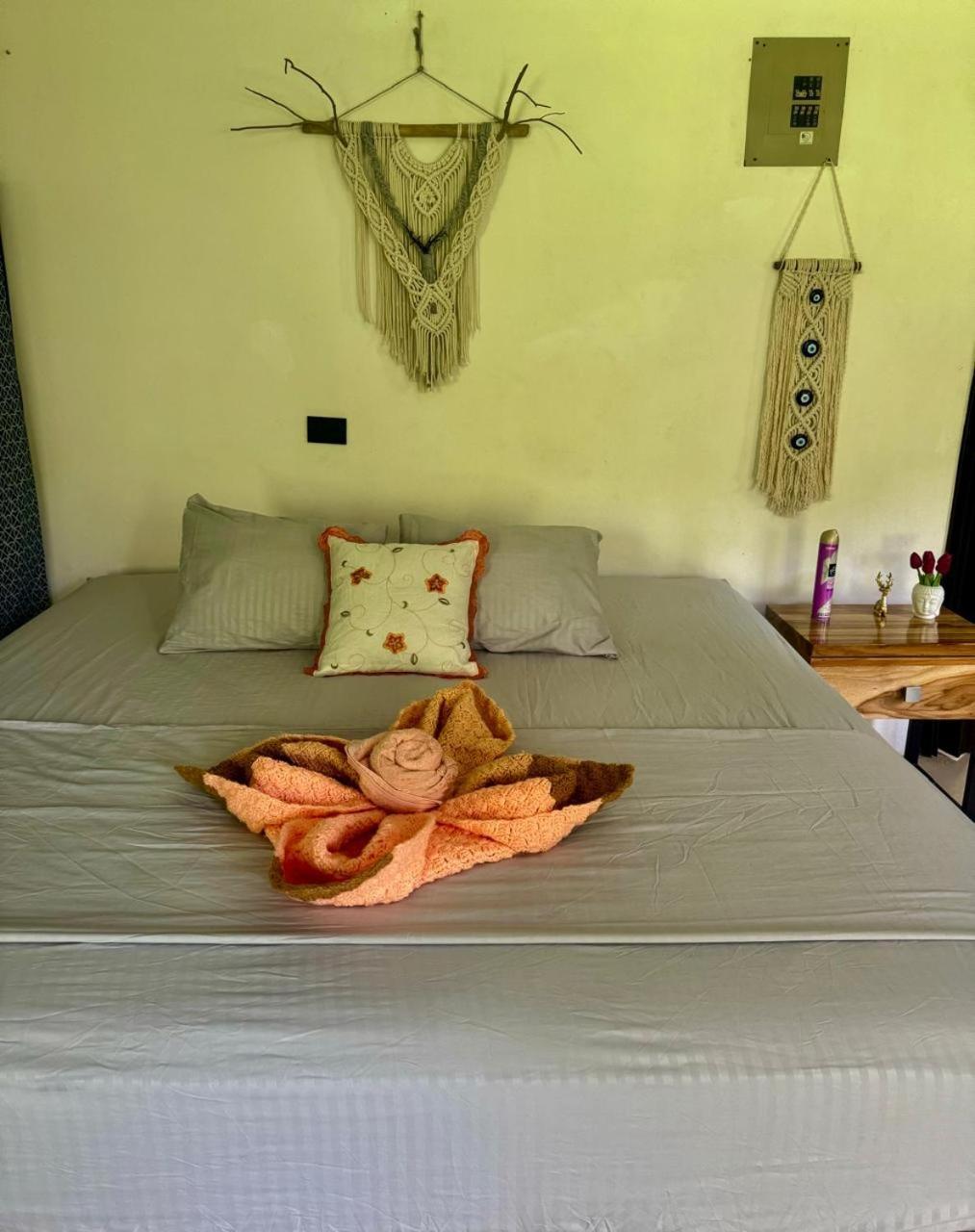 דירות Cabuya  Deer House Cabuya מראה חיצוני תמונה